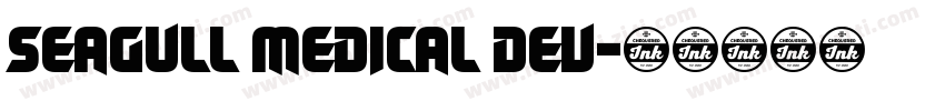 Seagull Medical Dev字体转换